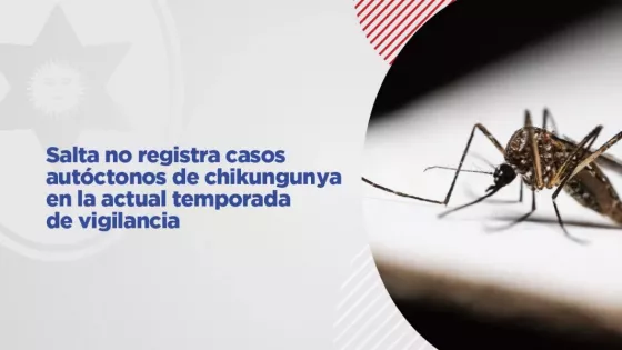 Salta no registra casos autóctonos de chikungunya en la actual temporada de vigilancia