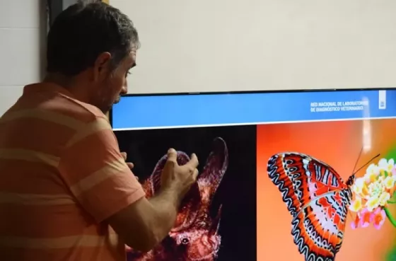 Acercando Ciencia 2026: la investigación llega a las aulas salteñas