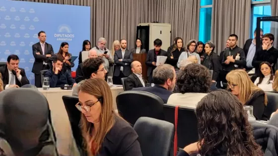 Salta expuso en el Congreso de la Nación la crítica situación de las pensiones por discapacidad