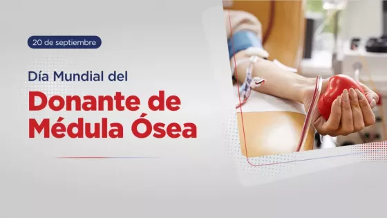 Día Mundial del Donante de Médula Ósea: Salta se consolida como referente regional en captación y trasplantes