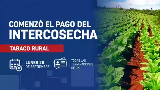 Los trabajadores del sector tabaco rural tienen depositados los fondos del programa Intercosecha