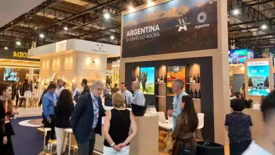 La industria vitivinícola salteña se destaca en la feria ProWine en Brasil