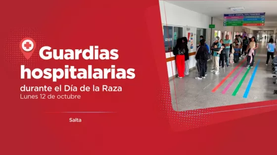 Cómo funcionarán los organismos de Salud Pública durante el feriado del lunes 12