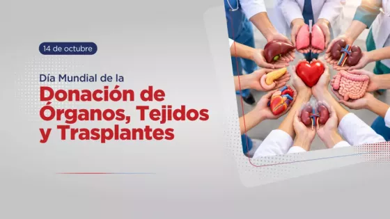 Día Mundial de la Donación de Órganos: En Salta más de 800 personas esperan un trasplante