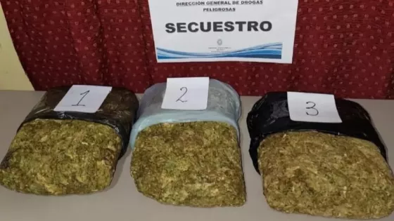 Demorado con más de 11 mil dosis de marihuana en barrio Portal de Güemes de Capital.