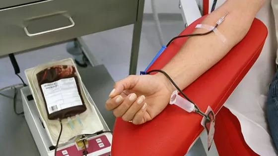 En el Centro Regional de Hemoterapia solicitan donantes voluntarios de sangre