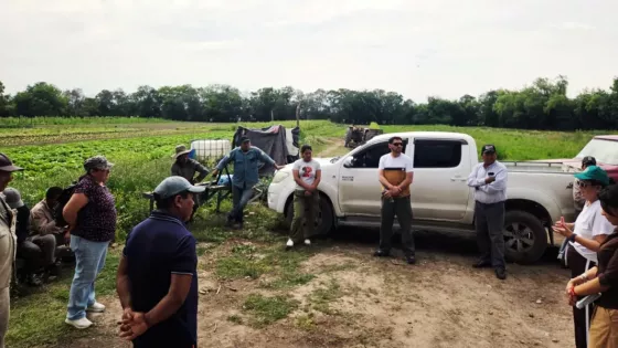 Avances en Cerrillos para potenciar el agregado de valor y el financiamiento del sector hortícola