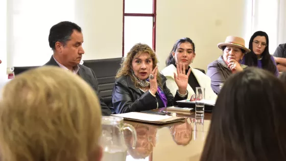 El Gobierno provincial impulsa la implementación territorial de la Ley Octorina