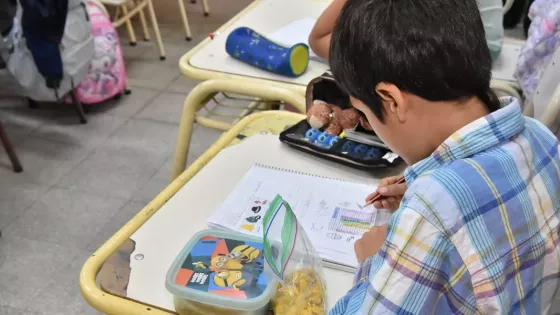 Plan Escolar de Protección: Salta oficializó la nueva normativa de prevención y simulacros