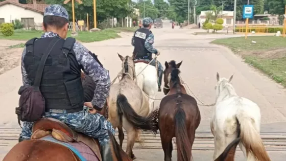La Policía de Salta desarrolló un Operativo de incautación de animales sueltos en distintos puntos de la provincia