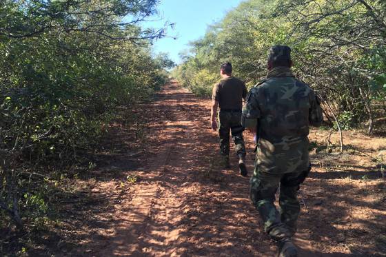 Intensifican el control de caza furtiva en el Chaco salteño