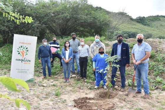 Para celebrar el Día de la Tierra plantaron árboles en La Caldera