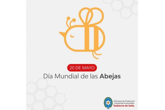 Salta: Fomentan el consumo de miel y la importancia de las abejas como productoras de alimentos