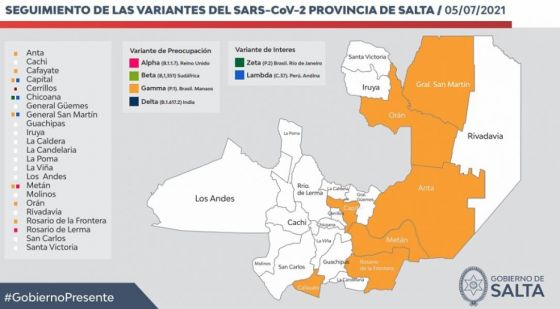 Confirman un caso de la variante Manaos en el departamento San Martín