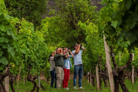 20 mil turistas recorrieron Salta el fin de semana extendido