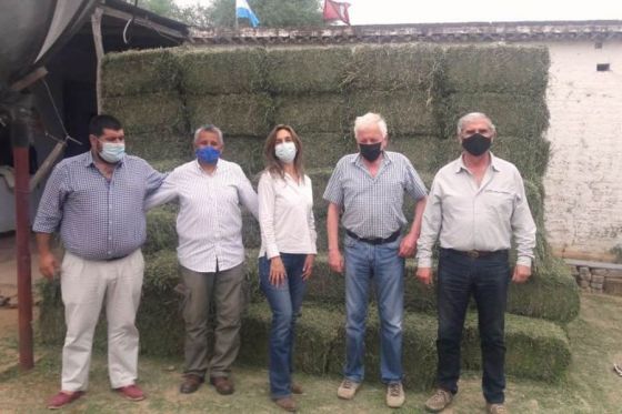 Emergencia Agropecuaria: la Provincia distribuye alfalfa, kits veterinarios y semillas de pastura