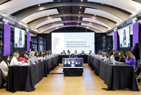 Salta expuso su agenda de trabajo en el Consejo Federal del Ministerio de las Mujeres, Géneros y Diversidad