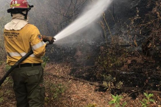 Con brigadistas del Servicio Nacional del Manejo del Fuego se refuerza el trabajo de sofocación en el norte provincial