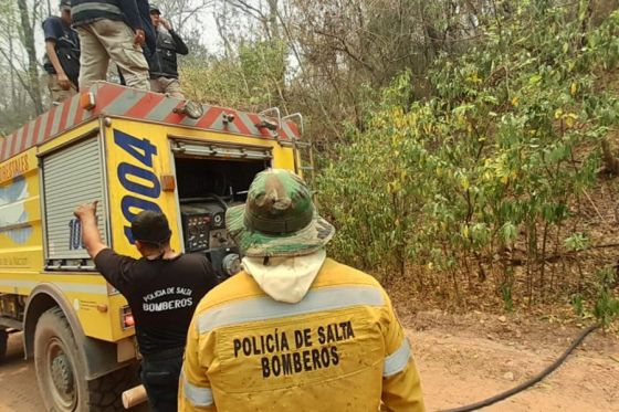 Amplio operativo de mitigación de incendios forestales en Orán