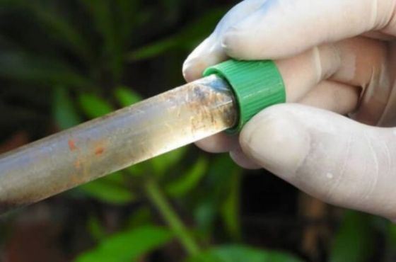 Agentes sanitarios visitarán viviendas para detectar reservorios de Aedes aegypti