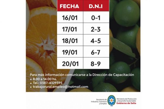 Hoy lunes 16 de enero comienza el pago del Programa Intercosecha para el sector citrus
