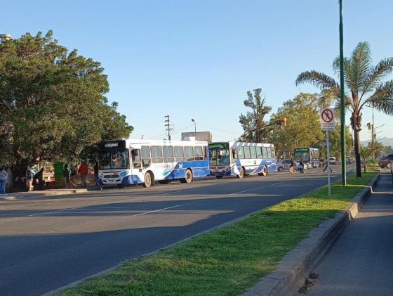 Servicio de colectivos para hoy