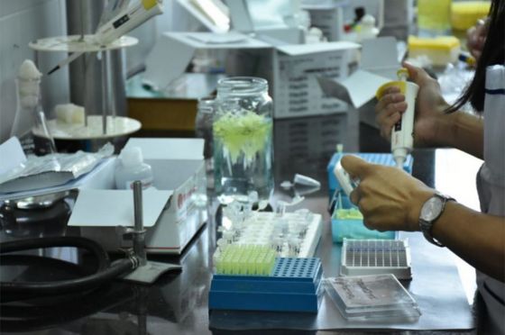 Informe de la Dirección General de Coordinación Epidemiológica