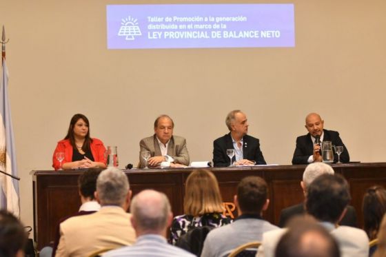 Fuerte incentivo a la generación de energía eléctrica con fuentes renovables