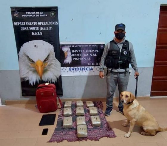 Exitoso operativo contra el narcotráfico en el norte provincial