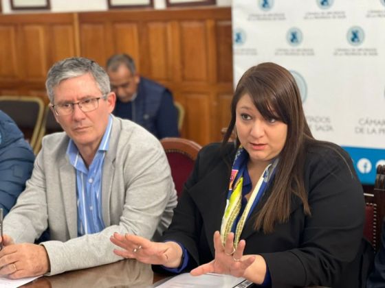 91258-el-gobierno-impulsa-procedimientos-agiles-para-optimizar-la-gestion-minera