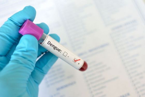 Salud Pública confirma el primer caso de Dengue de la temporada