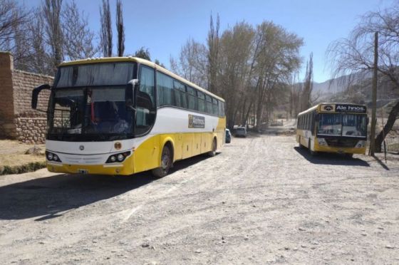 Balotaje 2023: el transporte de colectivo será gratuito en toda la provincia