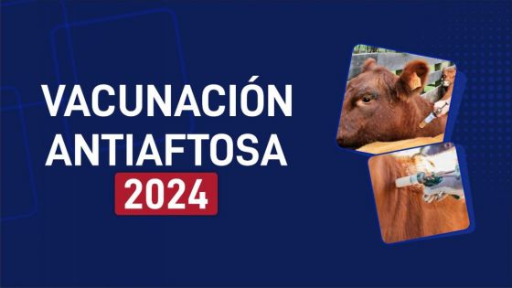 Vacunación Antiaftosa 2024: en abril comienza la primera campaña