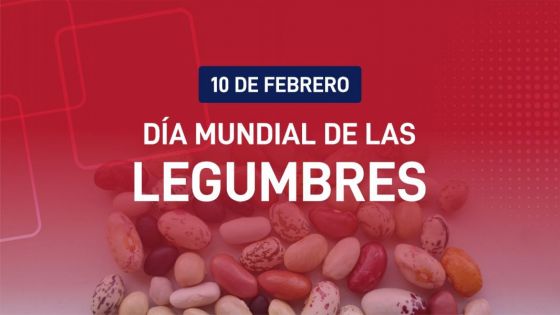 Día mundial de las legumbres: Salta es la principal productora y exportadora de porotos del país