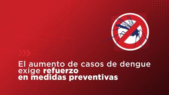 Dengue: Recomendaciones para prevenir enfermedades transmitidas por mosquitos