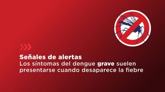 Dengue: ante los signos de alarma concurrir al sistema sanitario