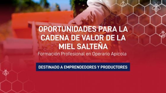Hoy comienza un curso de formación profesional en Apicultura