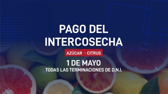 Hoy cobrarán los beneficiarios del programa Intercosecha