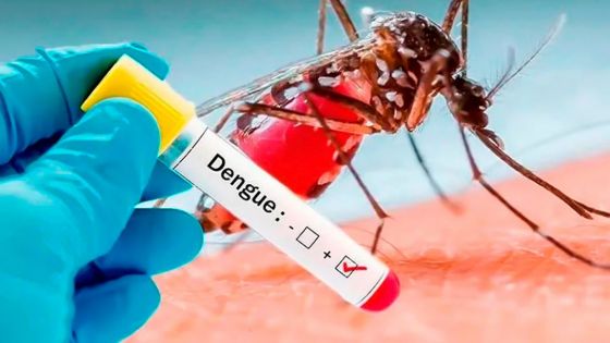 Suman 22 mil los casos confirmados de dengue en la provincia