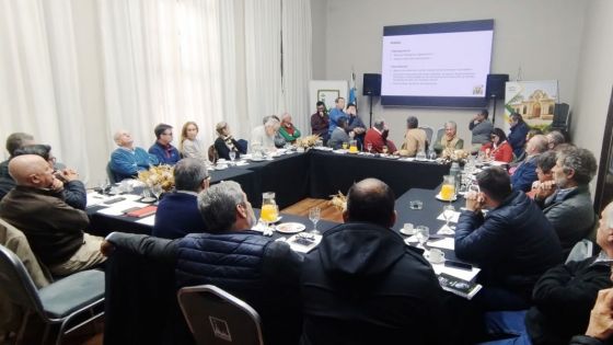 Provincias del NOA evaluaron estrategias para el manejo y control de la Chicharrita del Maíz