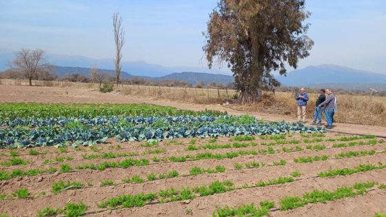 Fomentan la producción de hortalizas en el departamento de La Viña