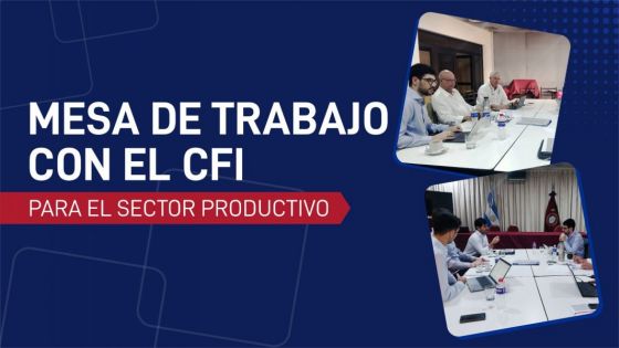 Funcionarios provinciales trabajan junto al CFI en la hoja de ruta productiva regional